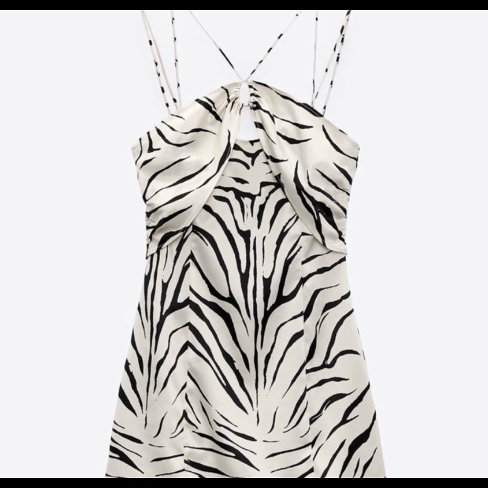 Zara Zebra Dress